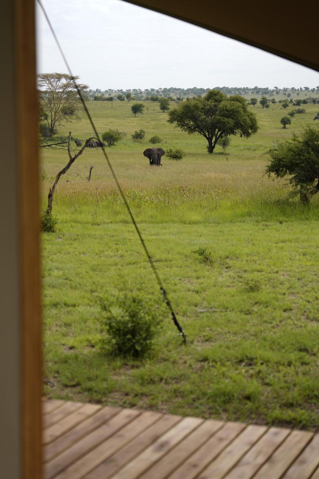 Anantya Serengeti Zewnętrze zdjęcie