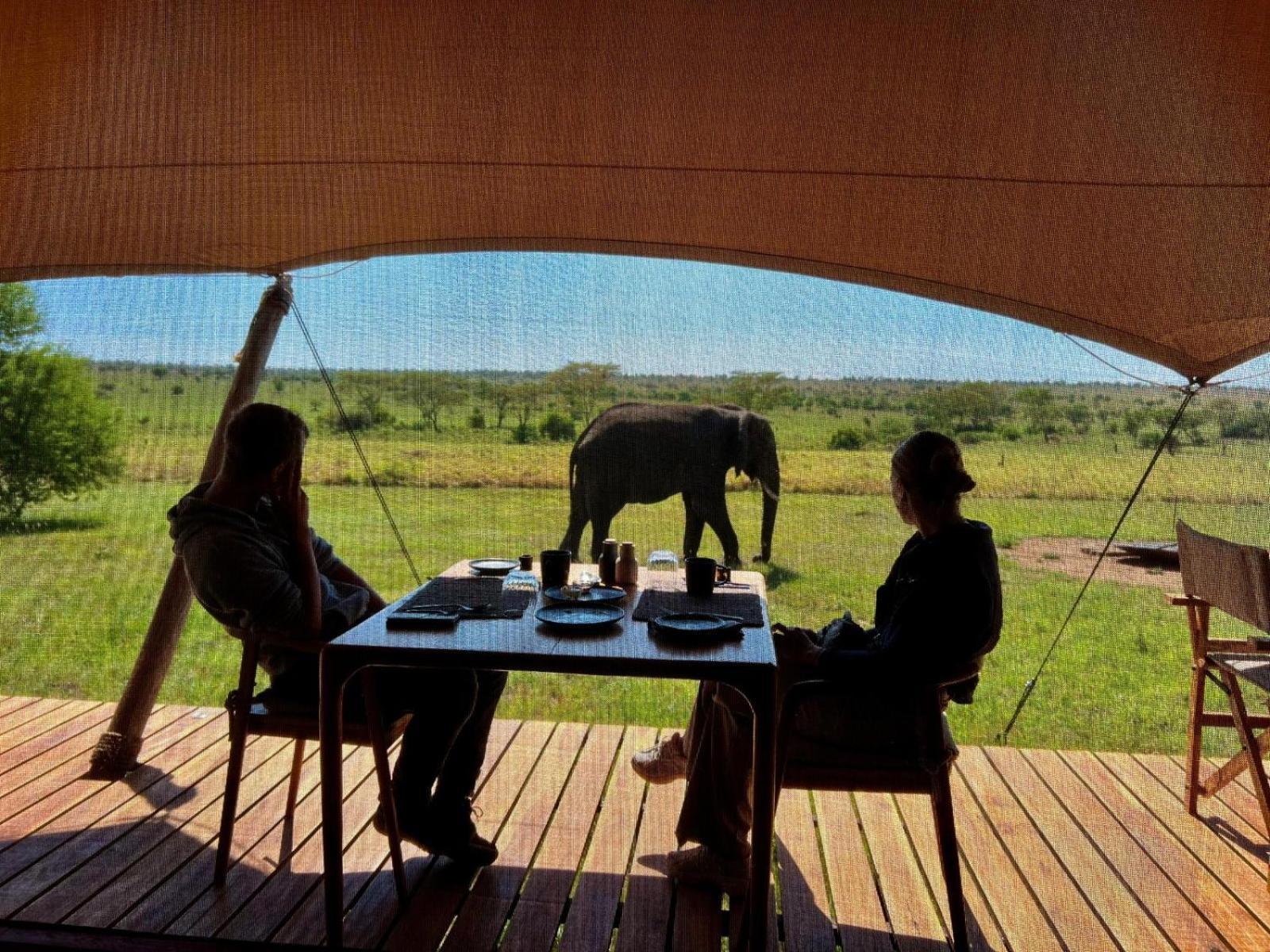 Anantya Serengeti Zewnętrze zdjęcie